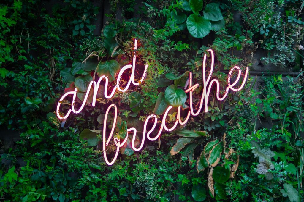 and breathe neon sign on green plant wall 