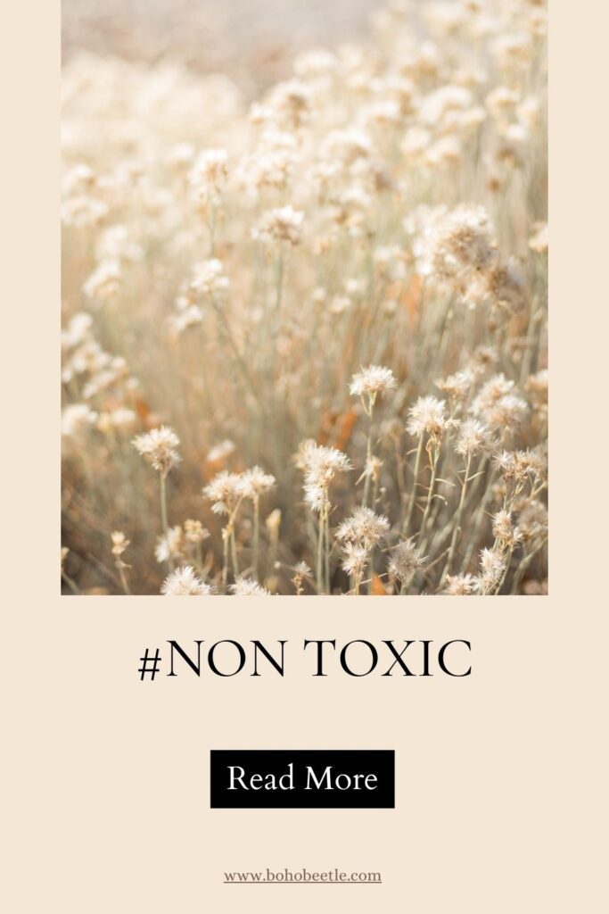 #non toxic