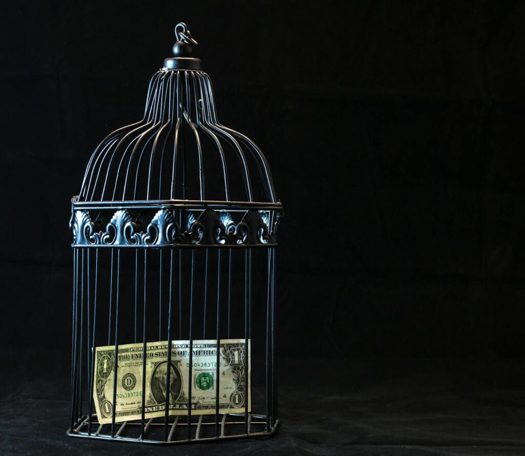 A dollar bill imprisoned in a decorative cage symbolizing financial confinement and no financial freedom